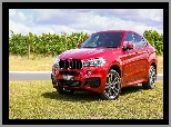 Czerwony, BMW X6, F16