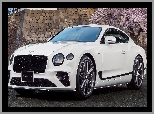 Bentley Continental GT, Biały