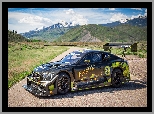 Bentley Continental GT3 Pikes Peak, 2021