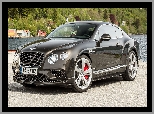 Bok, Bentley Continental GT, Przód