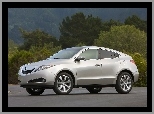 Acura ZDX, Ciemne, SUV, Szyby