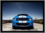 Ford Mustang, Shelby