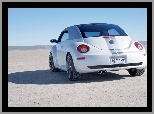 Volkswagen New Beetle